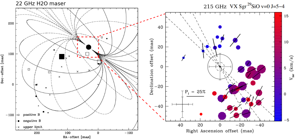적색초거성 VX Sgr에서 방출되는 H2O 메이저